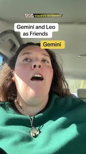 Gemini Leo Friendship