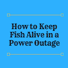 How To Keep Fish Alive In A Power Outage Expert Aquarist Glow Fish Fish Tank Power Outage