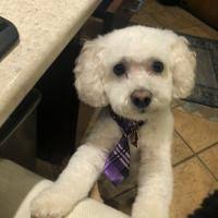 Evan Boudreau (bouda333) — 簡介- Chess.com