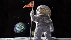 Get inspired by our community of talented artists. Hintergrundbilder Katze Raumanzug Flagge Erde Mond Digitale Kunst Platz 1920x1080 Eclairochocola 1144912 Hintergrundbilder Wallhere
