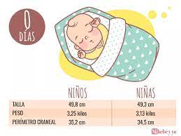 Bebe Recien Nacido Desarrollo Del Bebe Mes A Mes