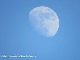 Habe noch nichts von flat earth gehört?! Wieso Kann Man Manchmal Den Mond Am Tag Sehen Was Ist Was