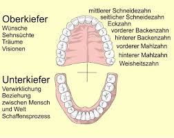 Was Sagen Uns Die Zahne Korperflusterer