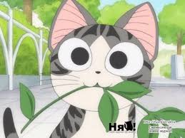 Create Meme Anime Kitty Anime Kitty Kitten Chii Sweet Home Chi Pictures Meme Arsenal Com Kitten memes are epic and super hilarious, kudos to all the fans and creative minds who have made these. create meme anime kitty anime kitty