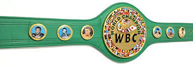Just wearing my championship title. Wbc World Boxing Champion Gurtel Replik Belt Amazon De Sport Freizeit