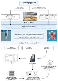 It is a tropical world filled with an endless archipelago, dotted with ruins made of marbled cheese. Ijms Free Full Text Proteomic Analysis Of Morphologically Changed Tissues After Prolonged Dexamethasone Treatment Html