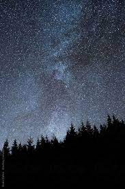 Starry Sky Above Silhouette Forest By Evan Dalen Night Sky Photography Starry Night Sky Starry Sky