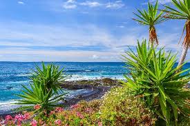 Temperatur, schnee, regen, wind, luftfeuchtigkeit, wetterwarnungen, etc. Beste Reisezeit Teneriffa Infos Zu Wetter Klima Temperatur
