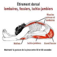 Exercice Dos Sans Materiel Et Programme Complet Exercice Dos Programme De Musculation Complet Exercices Pour Muscler Le Dos