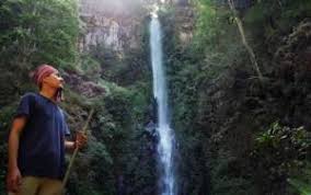 Ekosistem disekitar air terjun ini sungguh menyejukkan pemandangan. Air Terjun Dlundung Tiket Aktivitas Juni 2021 Travelspromo