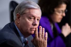 Lindsey graham is currently in the fight of his life to keep his south carolina senate seat. 5hffki Mdcpbvm