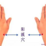 Le Point Yang Xi Du Meridien Du Gros Intestin 5gi Gros Intestin Acupression Acuponcture