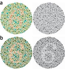 In fact, most color blind people can easily read what is written in the picture below. Color Blind Effy Moom