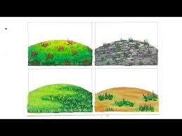 Pin By Acelyn Goh On Crayon In 2020 Animal Art Projects Art Drawings For Kids Oil Pastel