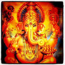 Cougar网站@银河双子星