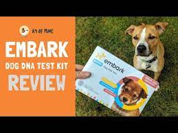 58 Best Gifts For Dogs Dog Lovers 2021 Update Perfect Presents