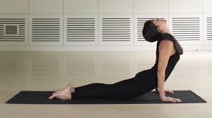 We did not find results for: Sun Salutations And Yoga Synthesis In India Wellcome Collection