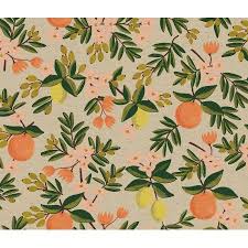 Rifle paper co citrus floral meal planner $16.75. Rifle Paper Co Primavera Citrus Floral Sand