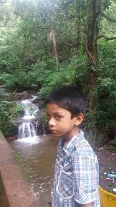 Natural spring, udear spring is located at verna few meters away from ambulor lake. Exploring Goa Monoliths Wild Flowers At Verna Pleateau Visit To The Ambular Lake And Udear Spring Verna Mission Green Goa
