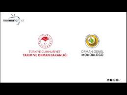 64,717 likes · 79,423 talking about this · 11,756 were here. Orman Genel Mudurlugu Kpss Siz 2083 Isci Alacak Youtube