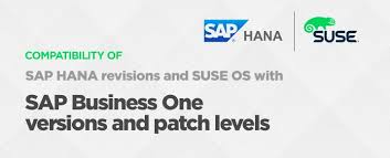 Compatibility Of Hana Revisions And Suse Os With Sap Business One Version And Patch Level Sap Hana Business