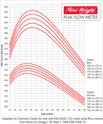 31 Correct Peak Flow Chart By Height