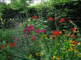 Staudenbepflanzung Im Heissen Garten Der Staudengartnerei Bornhoved Die Dunklen Purpurtone Bringen Schwung In Die Rabatte Stauden Bepflanzung Staudenbeet