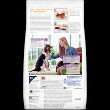 Hills Science Diet Puppy Large Breed Dry Food