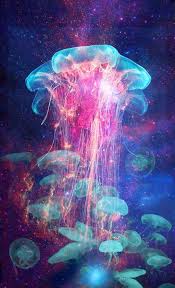 Jellyfish Groups Colorful Jellyfish Ocean Creatures Sea And Ocean