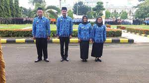 Maybe you would like to learn more about one of these? Informasi Pengangkatan Cpns Manjadi Pns Formasi Cpns Tahun 2018 Website Resmi Pemerintah Kabupaten Bone