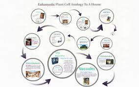 A cell is like a restaurant, and the organelles inside act as some things would inside a restaurant. Eukaryotic Plant Cell Analogy To A House By Jasmin Duran