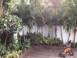 Ten phoenix roebelenii pygmy engagement palm seminal fluid robellini frigidness landscaping ideas for around screened syndicate orbit multi body pygmy. Pygmy Date Palm Landscape Houzz