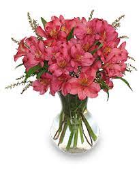 Maybe you would like to learn more about one of these? Long Beach Florist Long Beach Ms Flower Shop Forget Me Not Florist