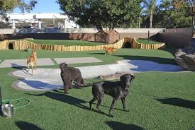 Get the inside scoop on jobs, salaries, top office locations, and ceo insights. The Bone Adventure With Images Dog Playground Dog Kennel Outdoor