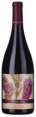 Buy wine and wine gifts at uncorked.com, your online wine store with the most 90+ point rated wines from around the world. Purple Owl Pinot Noir 2018 Product Details Laithwaites Wine