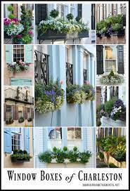 Flower box ideas inspired by charleston window boxes. Beautiful And Blooming Window Boxes Of Charleston Home Is Where The Boat Is