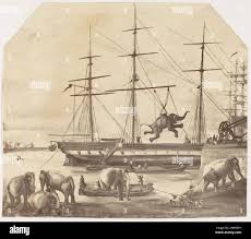 1857 mutiny hi-res stock photography ...