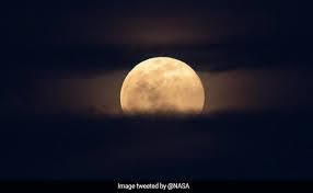 Moonlight was certified platinum by the riaa on october 21 the following moonlight romance 1 with english sub has видео канала azmi21, ( 193 видео ). Caj9n0poadnprm