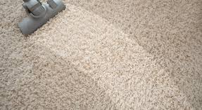 Maybe you would like to learn more about one of these? A Perfectionist Touch Carpet Cleaning Salt Lake City Utah