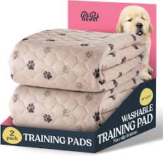 Super Absorbent Washable Pee Pads for Dogs - 2-Pack Jamaica | Ubuy