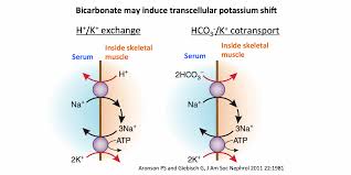 Image result for Kayexalate