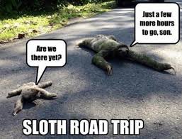 Pin By Elizabeth Shuey On Road Trip Humor Road Trip Humor Road Trip Meme Travel The World Quotes