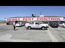 Kellogg pest control inc home facebook. Dewey Pest Control Headquarters Dewey Pest Control 20 Reviews Pest Control 7000