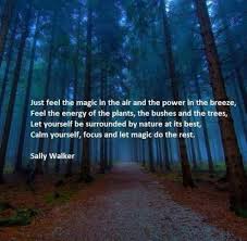 Just Feel The Magic In The Air And The Power In The Breeze Feel The Energy Of The Plants The Mother Nature Quotes Nature Quotes Nature Quotes Inspirational