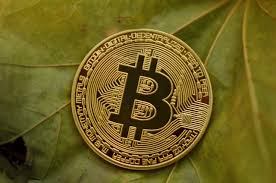 This is a great way for research analysts, quants and data scientists to get historical data in a format that can be easily imported into data analytics tools such as r, tableau or sql databases. Bitcoin Price How To Potentially Make Profit Using Scalping Strategy Cryptoticker