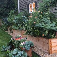 Make Your Own Raised Bed Garden Goals Happen This Year Bed Garden Goals Happen Raised Year Raised Garden Beds Backyard Landscaping Raised Garden