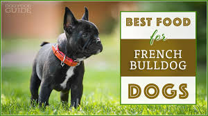 10 Best Healthiest Dog Foods For French Bulldogs In 2019