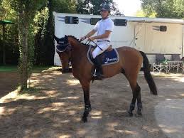 Şopârlă veninoasă cu corp uriaş, de culoare portocalie sau neagră, care trăieşte în america de nord şi centrală. Perazzi Horse Of The Day Gilas Cavallo Del Giorno Gilas Facebook