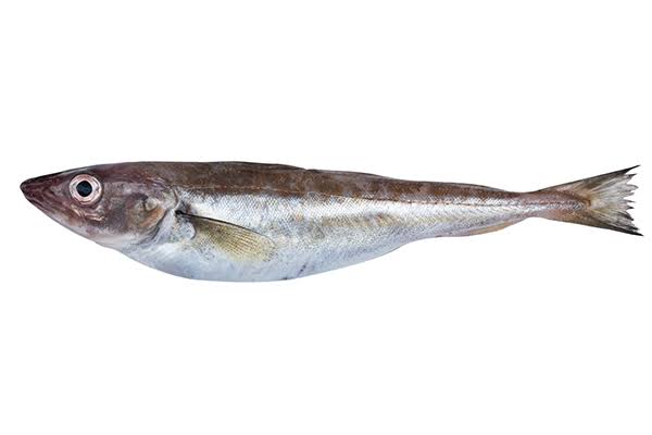 Görsel