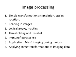 Ppt Image Processing Powerpoint Presentation Free Download Id 5451399